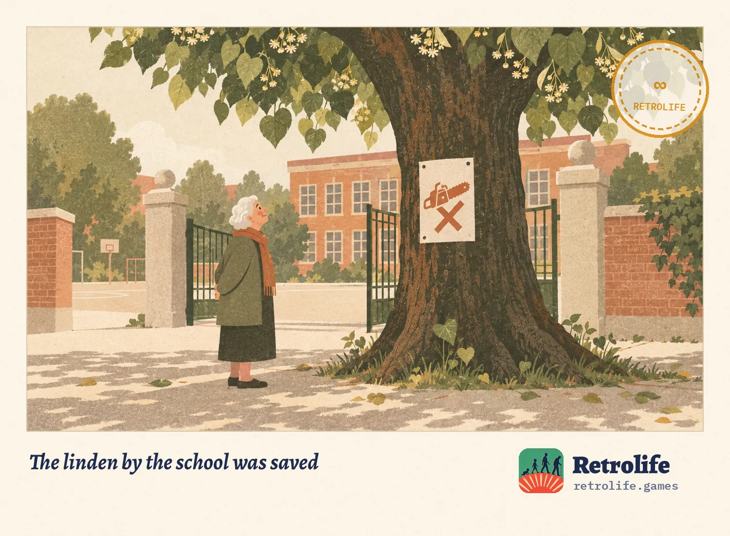 The linden by the school was saved